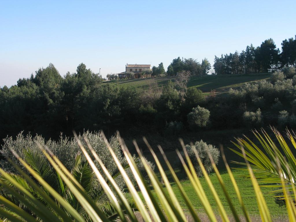 Briciola Di Sole Konuk evi Grottammare Dış mekan fotoğraf