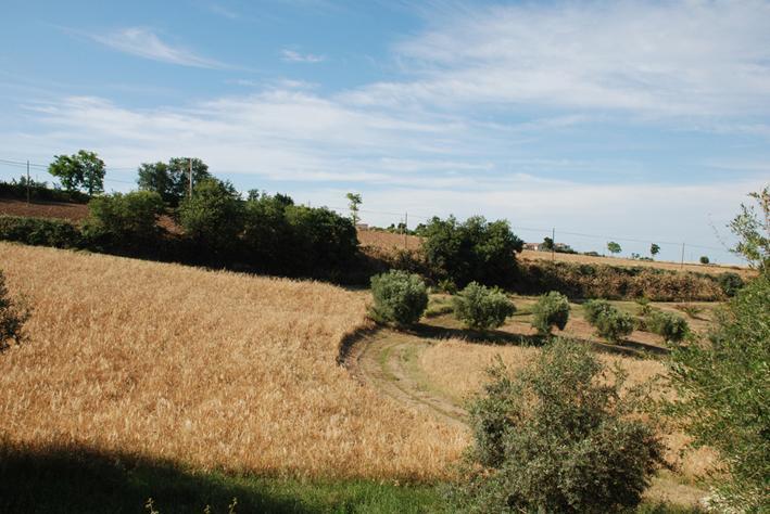 Briciola Di Sole Konuk evi Grottammare Dış mekan fotoğraf