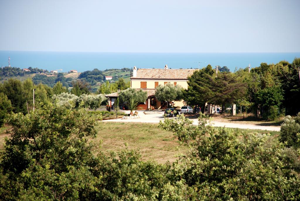 Briciola Di Sole Konuk evi Grottammare Dış mekan fotoğraf